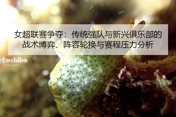 nv-chao-lian-sai-zheng-duo-chuan-tong-qiang-dui-yu-xin-xing-ju-le-bu-de-zhan-shu-bo-yi-zhen-rong-lun-huan-yu-sai-cheng-2-472.jpg