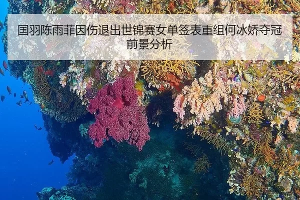 guo-yu-chen-yu-fei-yin-shang-tui-chu-shi-jin-sai-nv-dan-qian-biao-chong-zu-he-bing-jiao-duo-guan-qian-jing-fen-xi-2-530.jpg