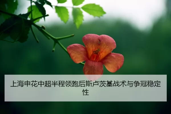 shang-hai-shen-hua-zhong-chao-ban-cheng-ling-pao-hou-si-lu-ci-ji-zhan-shu-yu-zheng-guan-wen-ding-xing-2-256.jpg