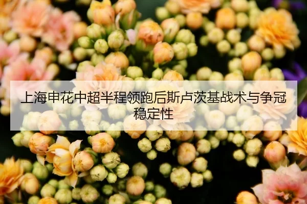 上海申花中超半程领跑后斯卢茨基战术与争冠稳定性